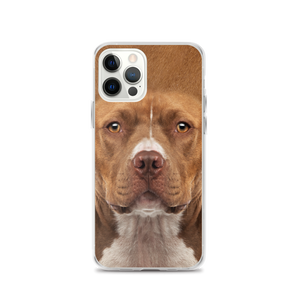 iPhone 12 Pro Staffordshire Bull Terrier Dog iPhone Case by Design Express