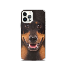 iPhone 12 Pro Dachshund Dog iPhone Case by Design Express
