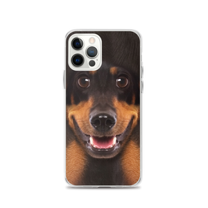 iPhone 12 Pro Dachshund Dog iPhone Case by Design Express