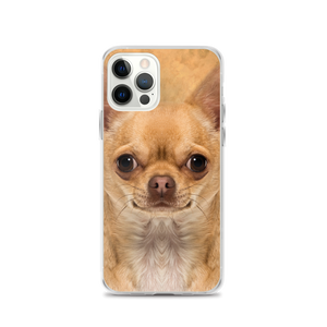 iPhone 12 Pro Chihuahua Dog iPhone Case by Design Express