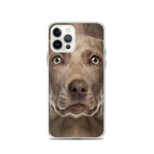 iPhone 12 Pro Weimaraner Dog iPhone Case by Design Express