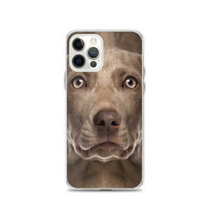 iPhone 12 Pro Weimaraner Dog iPhone Case by Design Express