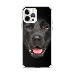 iPhone 12 Pro Max Labrador Dog iPhone Case by Design Express