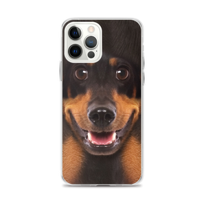 iPhone 12 Pro Max Dachshund Dog iPhone Case by Design Express