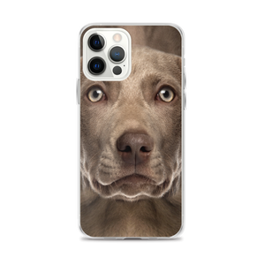 iPhone 12 Pro Max Weimaraner Dog iPhone Case by Design Express