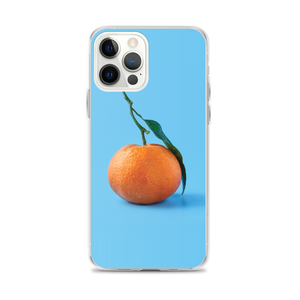 iPhone 12 Pro Max Orange on Blue iPhone Case by Design Express