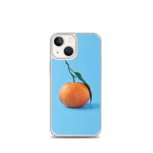 iPhone 13 mini Orange on Blue iPhone Case by Design Express