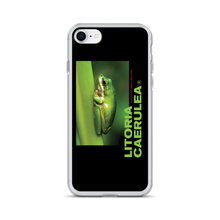 iPhone 7/8 Litoria Caerulia iPhone Case by Design Express