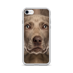 iPhone SE Weimaraner Dog iPhone Case by Design Express