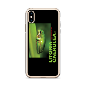 Litoria Caerulia iPhone Case by Design Express