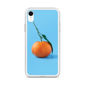 Orange on Blue iPhone Case by Design Express