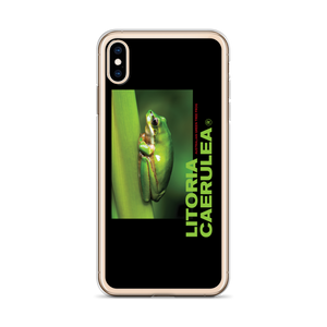 Litoria Caerulia iPhone Case by Design Express