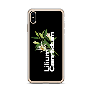 Lilium Candidum iPhone Case by Design Express