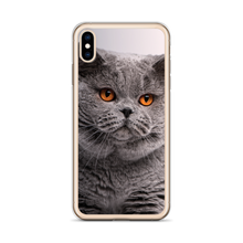 British Shorthair (Cat Lover) iPhone Case by Design Express