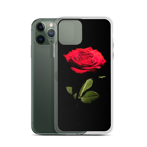 Red Rose on Black iPhone Case by Design Express