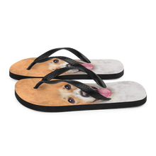 Jack Russel Dog Flip-Flops by Design Express