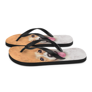 Jack Russel Dog Flip-Flops by Design Express