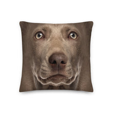 18×18 Weimaraner Dog Premium Pillow by Design Express