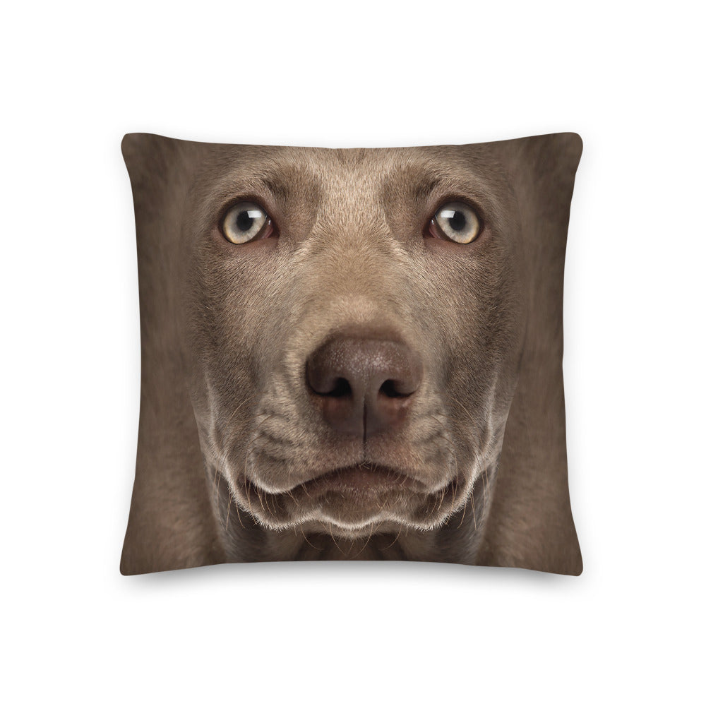18×18 Weimaraner Dog Premium Pillow by Design Express