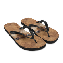 British Cat Flip-Flops by Design Express