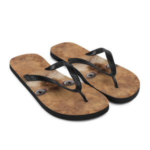 British Cat Flip-Flops by Design Express