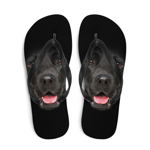 Labrador Dog Flip-Flops by Design Express