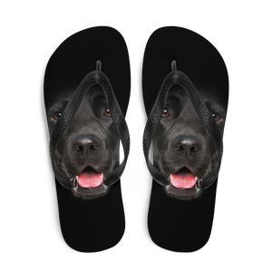 Labrador Dog Flip-Flops by Design Express
