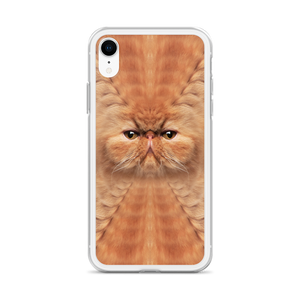 Persian Cat iPhone Case by Design Express