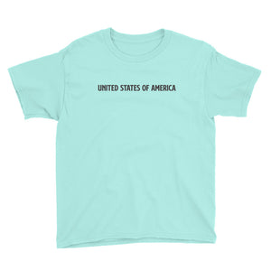 Teal Ice / S United States Of America Eagle Illustration Backside Youth Short Sleeve T-Shirt by Design Express