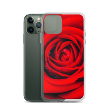 Fresh Red Rose iPhone Case by Design Express