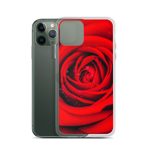 Fresh Red Rose iPhone Case by Design Express