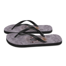 Koala Flip-Flops by Design Express