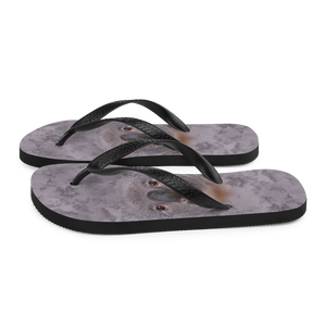 Koala Flip-Flops by Design Express