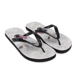 Wolf Flip-Flops by Design Express