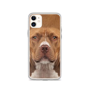 iPhone 11 Staffordshire Bull Terrier Dog iPhone Case by Design Express