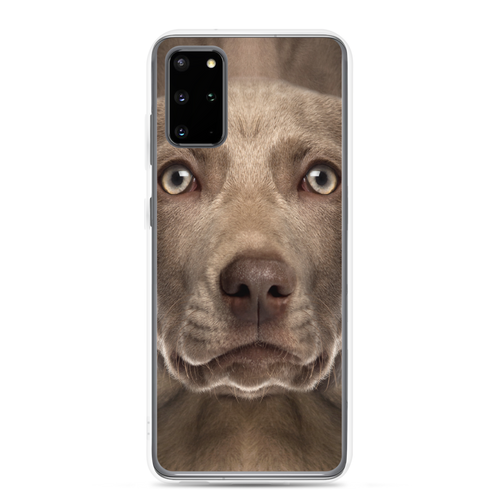 Samsung Galaxy S20 Plus Weimaraner Dog Samsung Case by Design Express