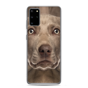 Samsung Galaxy S20 Plus Weimaraner Dog Samsung Case by Design Express