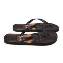 Dachshund Dog Flip-Flops by Design Express
