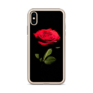 Red Rose on Black iPhone Case by Design Express