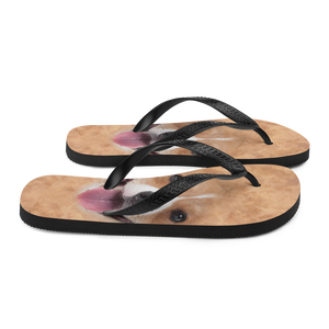 Corgi Dog Flip-Flops by Design Express