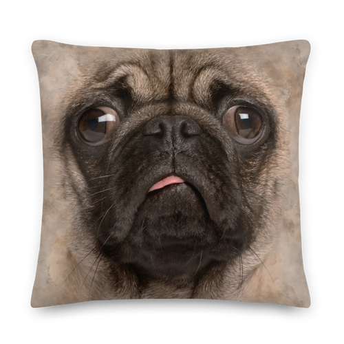 22×22 Pug Puppy Dog Premium Pillow by Design Express