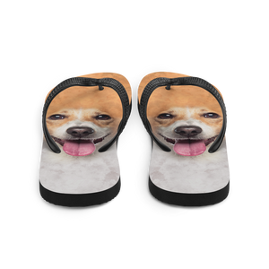 Jack Russel Dog Flip-Flops by Design Express