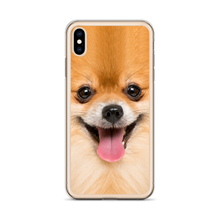 Pomeranian Dog iPhone Case by Design Express