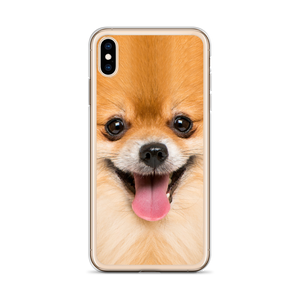 Pomeranian Dog iPhone Case by Design Express