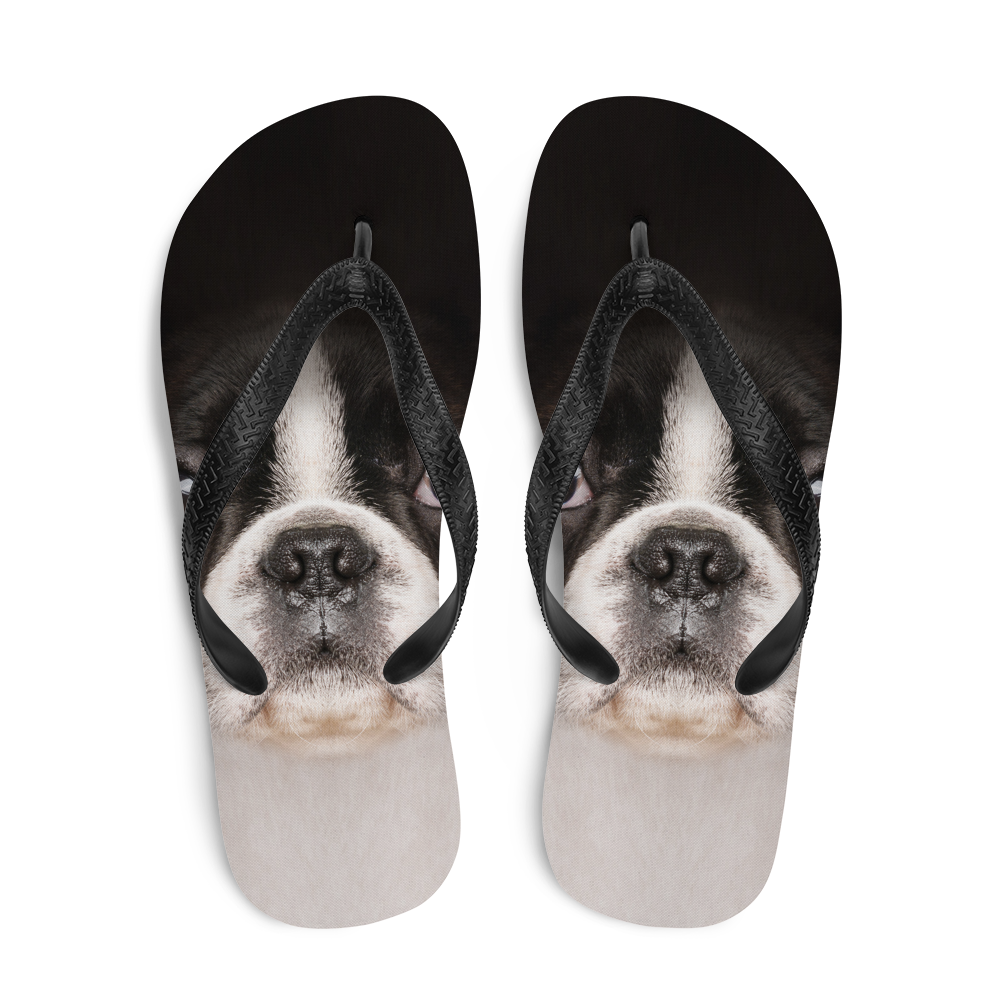 Boston 2025 terrier slippers