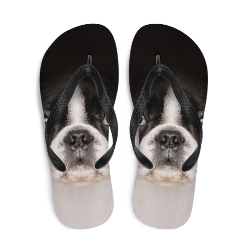 Boston Terrier Dog Flip-Flops by Design Express