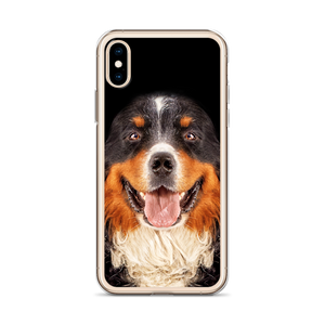 Bernese Mountain Dog iPhone Case by Design Express