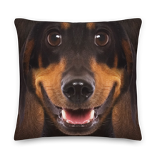 Dachshund Dog Premium Pillow by Design Express