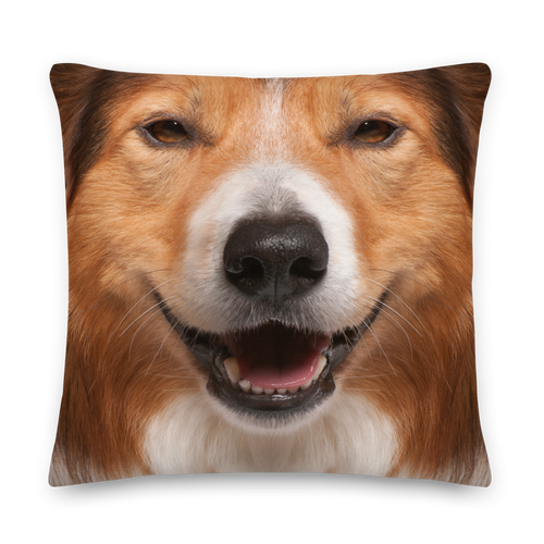 22×22 Border Collie Dog Premium Pillow by Design Express