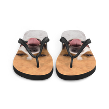 Pit Bull Dog Flip-Flops by Design Express
